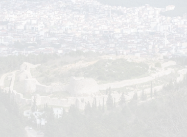 Sultanbeyli İlçe Başkanı